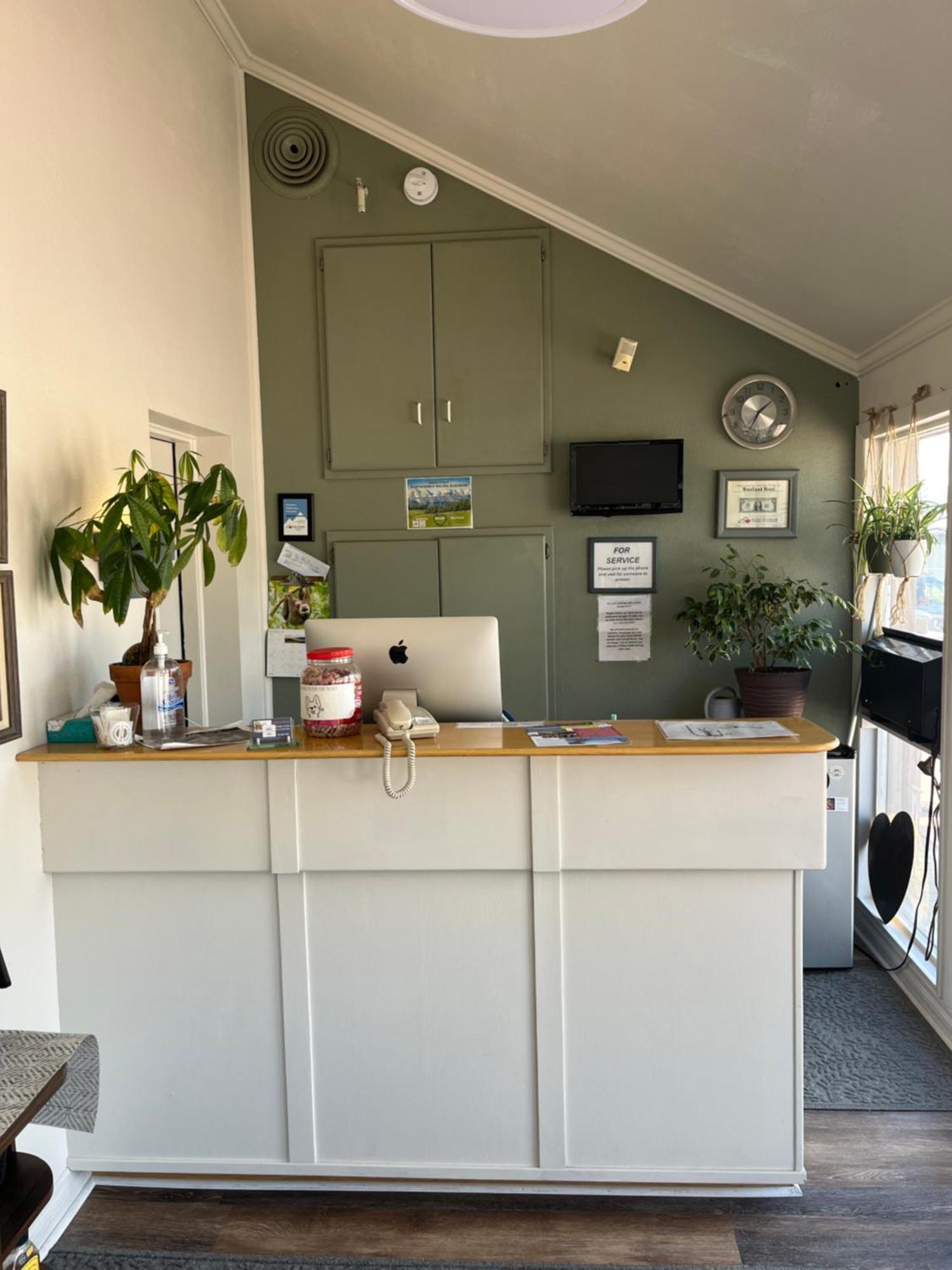 Woodland Motel 萨利达 外观 照片